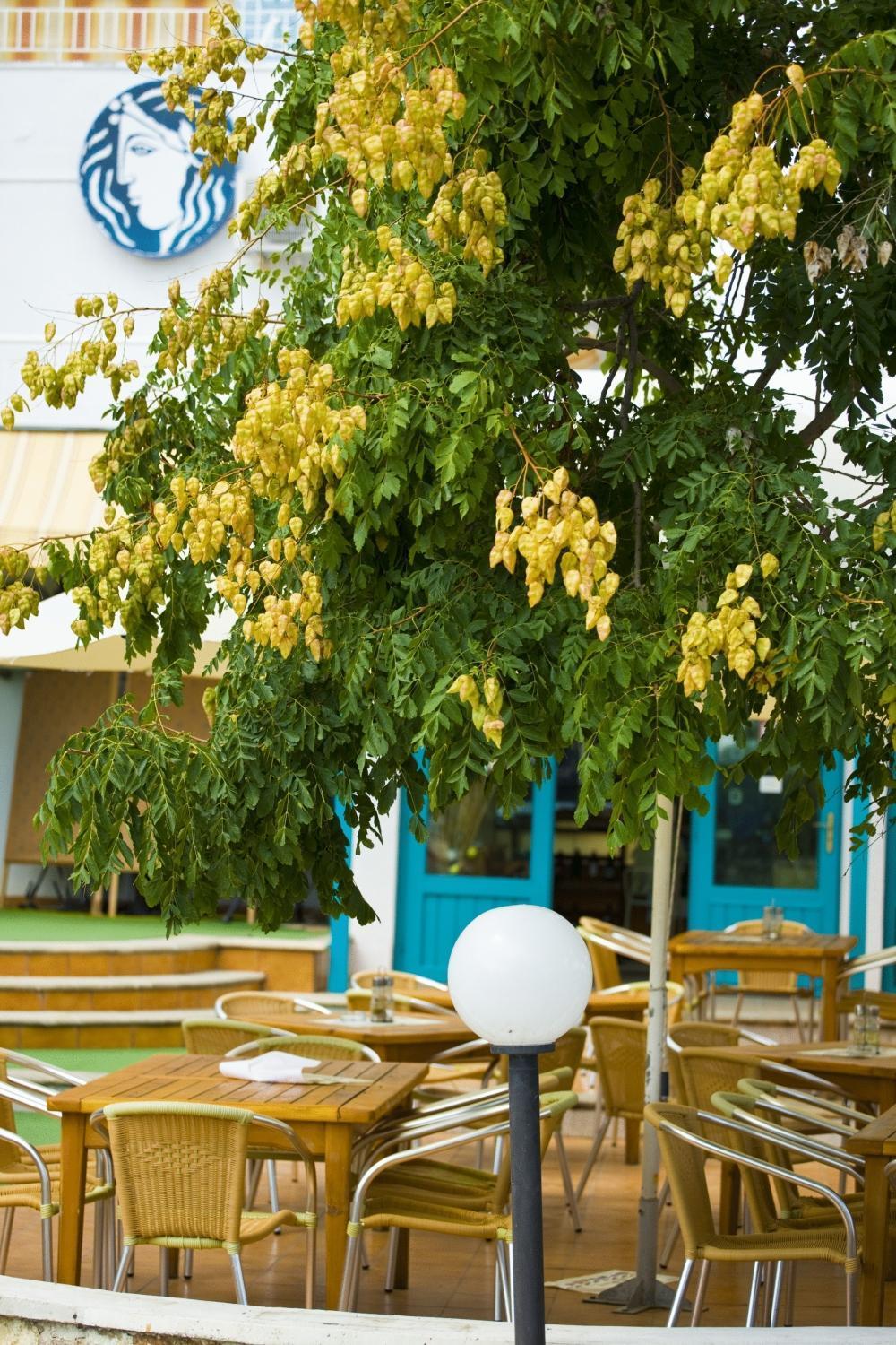 Kaliopa Hotel อัลเบนา ภายนอก รูปภาพ
